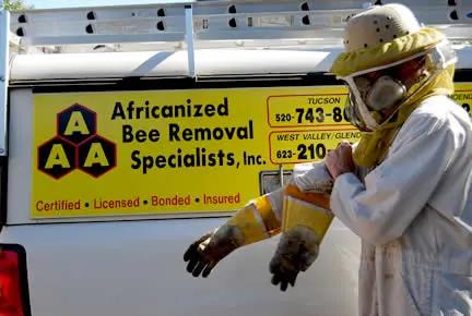 AAA Bee Removal Company employee donning a bee suit